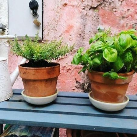 Willa La Casa Di Mo Albisola Superiore Zewnętrze zdjęcie