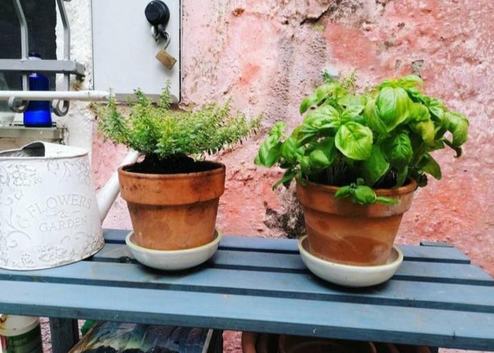 Willa La Casa Di Mo Albisola Superiore Zewnętrze zdjęcie