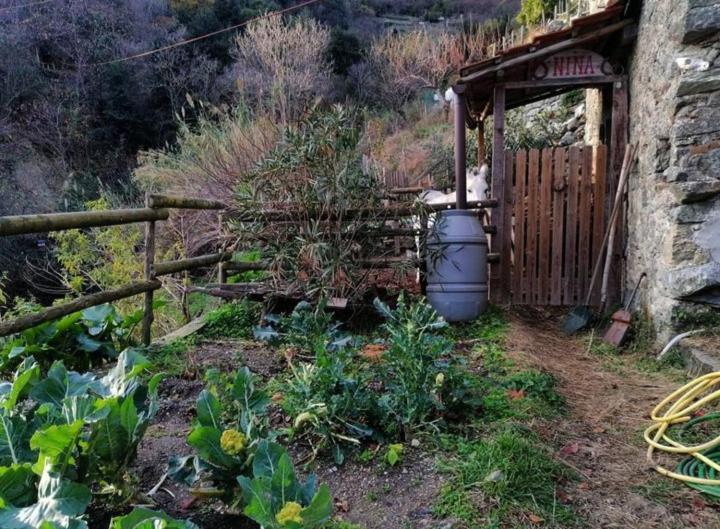 Willa La Casa Di Mo Albisola Superiore Zewnętrze zdjęcie
